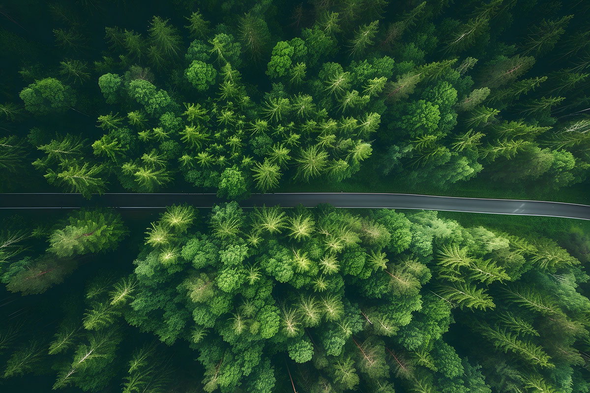 Green investment