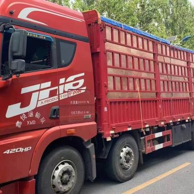 Land transportation of special cargo from China to Iran